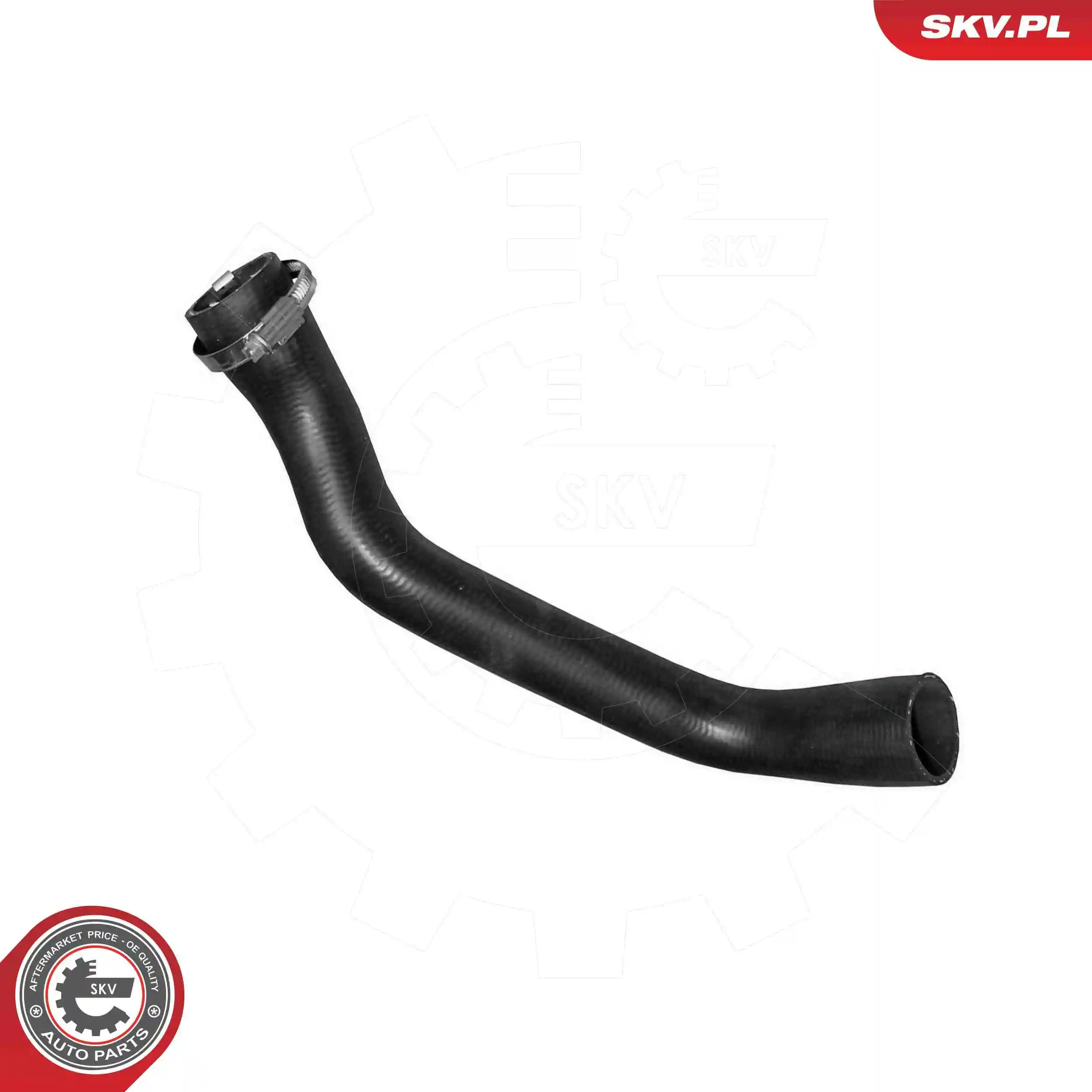 Radiator Hose